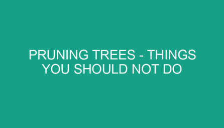 pruning trees things you should not do 421
