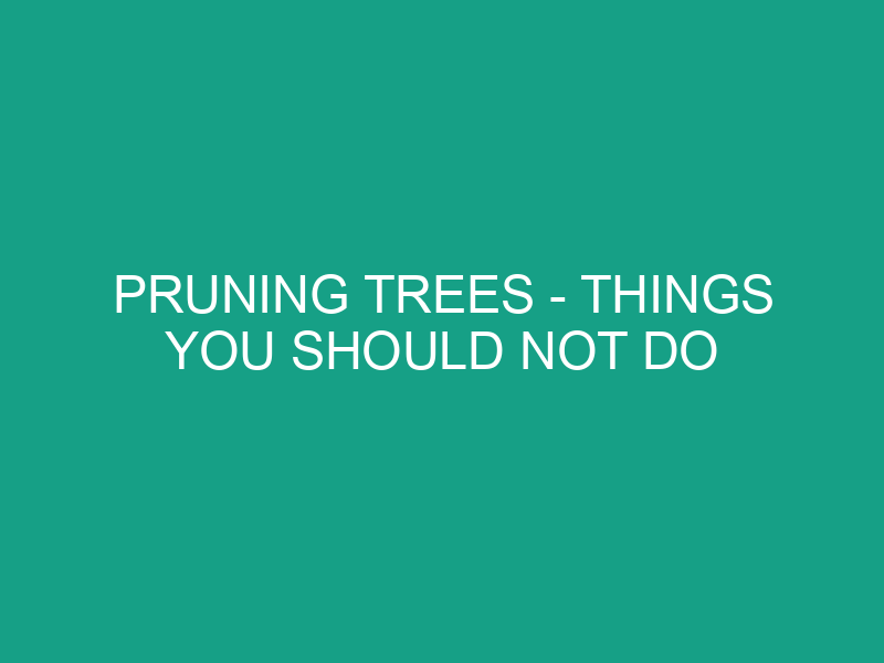 pruning trees things you should not do 421