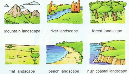 What Are the 7 Types of Landscapes?