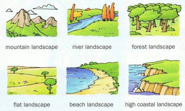 What Are the 7 Types of Landscapes?