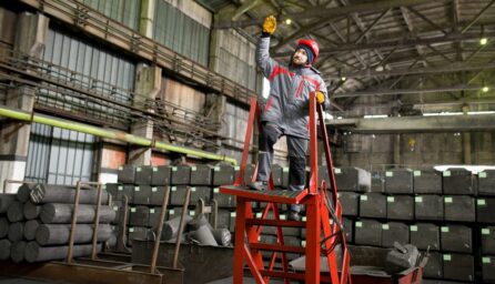 Rolling Ladders