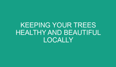Keeping Your Trees Healthy and Beautiful Locally