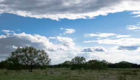 the investors landscape navigating texas land opportunities