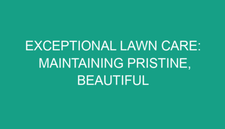 Exceptional Lawn Care: Maintaining Pristine, Beautiful Outdoor Spaces
