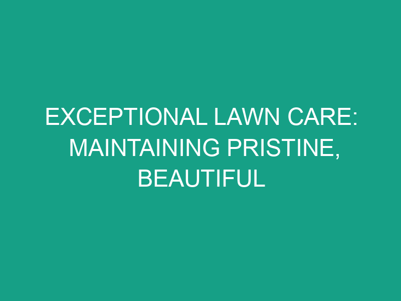Exceptional Lawn Care: Maintaining Pristine, Beautiful Outdoor Spaces
