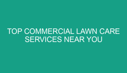 Top Commercial Lawn Care Services Near You