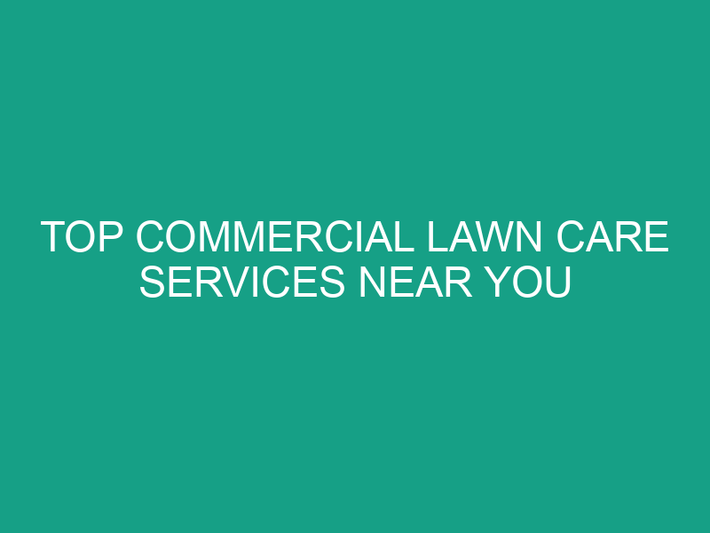Top Commercial Lawn Care Services Near You