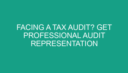 Facing a Tax Audit? Get Professional Audit Representation Services