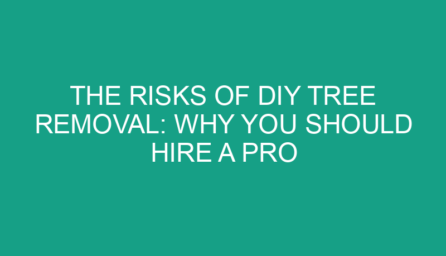 The Risks of DIY Tree Removal: Why You Should Hire a Pro