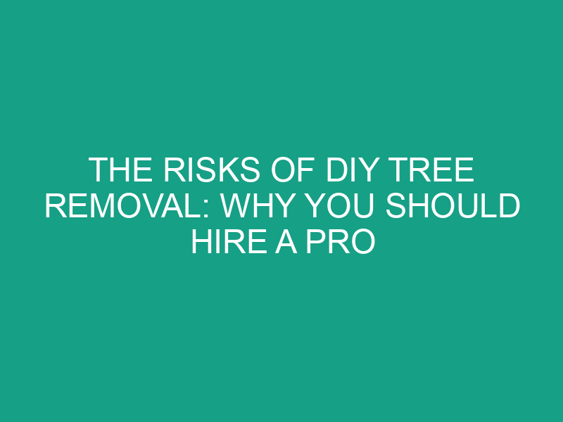 The Risks of DIY Tree Removal: Why You Should Hire a Pro