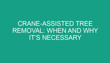 Crane Assisted Tree Removal: When and Why It’s Necessary
