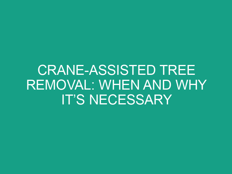 Crane Assisted Tree Removal: When and Why It’s Necessary