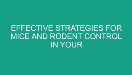 Effective Strategies for Mice and Rodent Control in Your Home