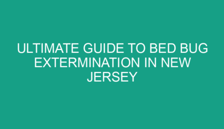 Ultimate Guide to Bed Bug Extermination in New Jersey