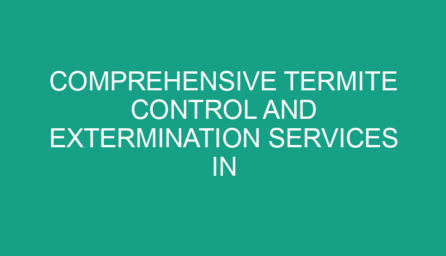 Comprehensive Termite Control and Extermination Services in New Jersey