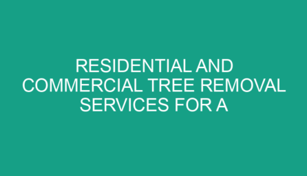 Residential and Commercial Tree Removal Services for a Safer Property