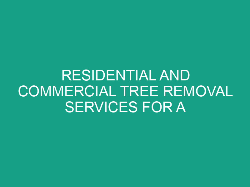 Residential and Commercial Tree Removal Services for a Safer Property