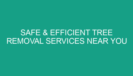 Safe & Efficient Tree Removal Services Near You